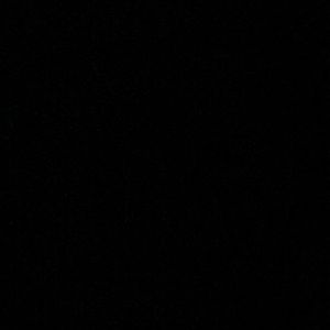 Meet your Posher, Ronnie